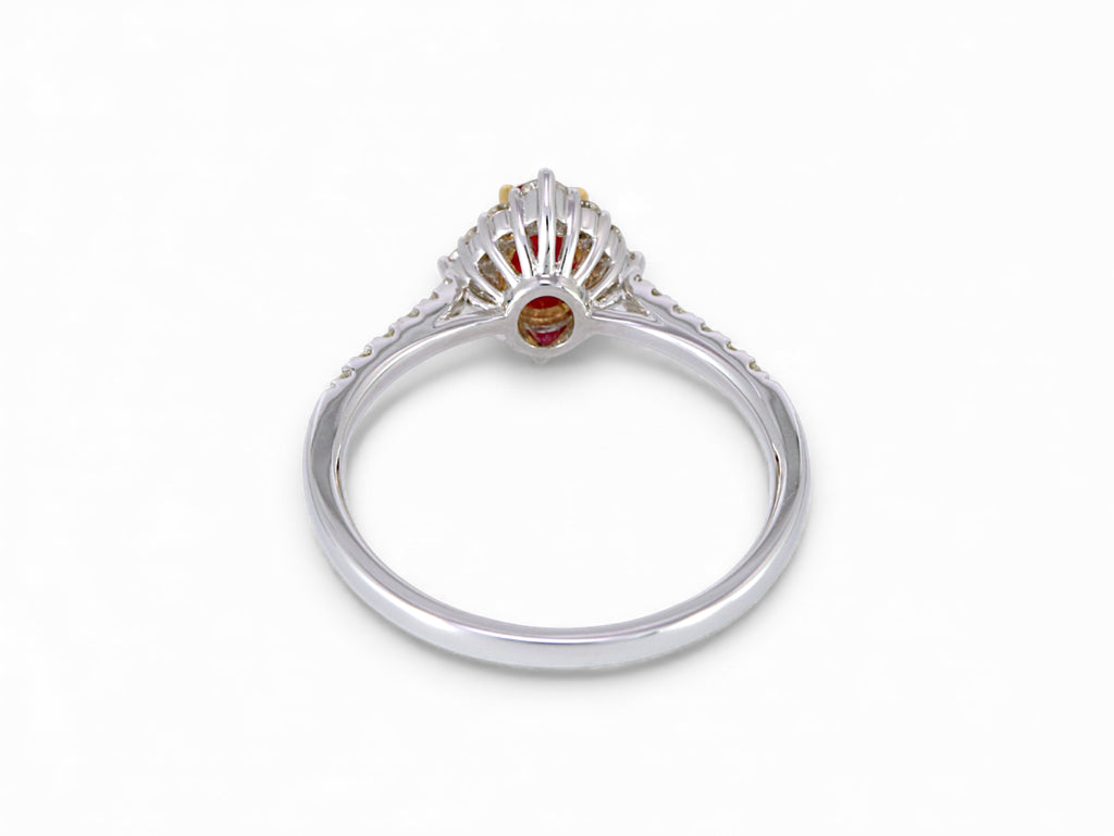 18K White and Yellow Gold Oval Cut Ruby with Diamond Halo Ring